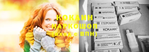 МДПВ Михайлов