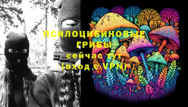 МДПВ Михайлов
