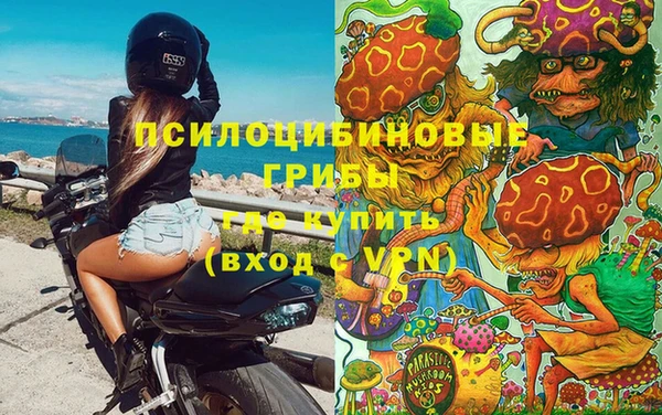 МДПВ Михайлов