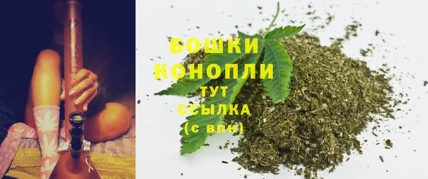 МДПВ Михайлов