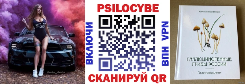 Псилоцибиновые грибы Psilocybe  Дегтярск 