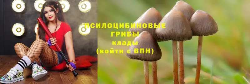 Псилоцибиновые грибы GOLDEN TEACHER  где купить наркоту  Дегтярск 